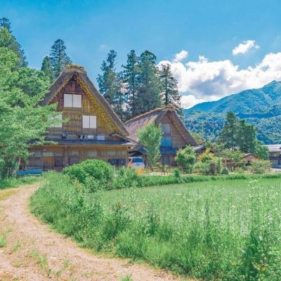 金年会体育app下载官网